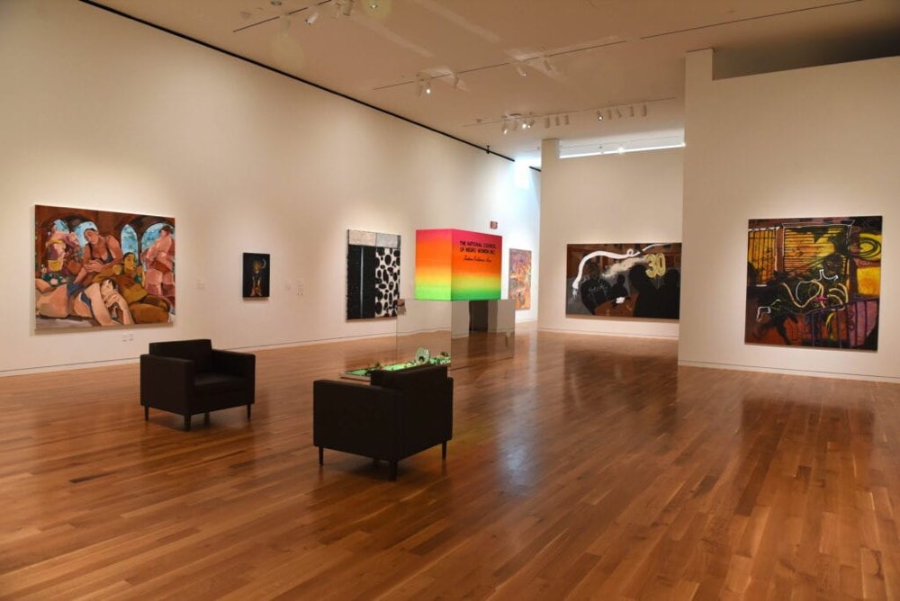 Columbus Museum of Art Unveils Scantland Collection Featuring Work by Devan Shimoyama